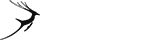 智能异常捕获的服务器攻击方式